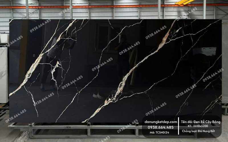 Đá nung kết đen rễ cây bóng